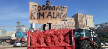 SOĞAN ÜRETİCİLERİ ZOR DURUMDA