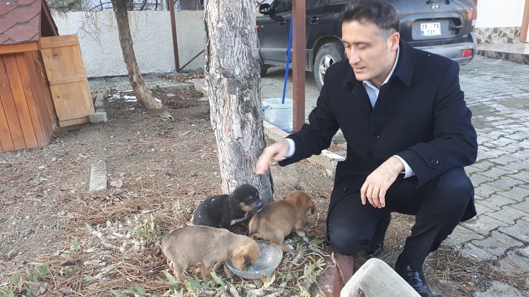 KAYMAKAM YAVRU KÖPEKLERİ SAHİPLENDİ