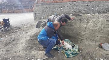 ENGELLİ GENÇ FELÇLİ KÖPEĞE SAHİP ÇIKTI