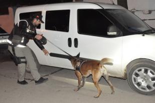 ÇORUM’DA NARKOTİK SAHAYA İNDİ