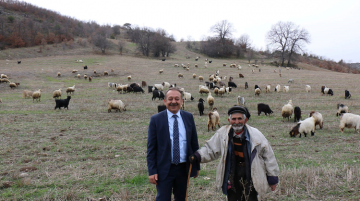 KUZU ÖLÜMLERİNE DİKKAT ÇEKTİ!