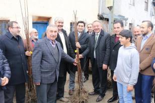 FİDAN ALACAKLARA ÖNEMLİ UYARI!