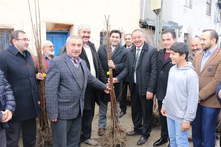 FİDAN ALACAKLARA ÖNEMLİ UYARI!