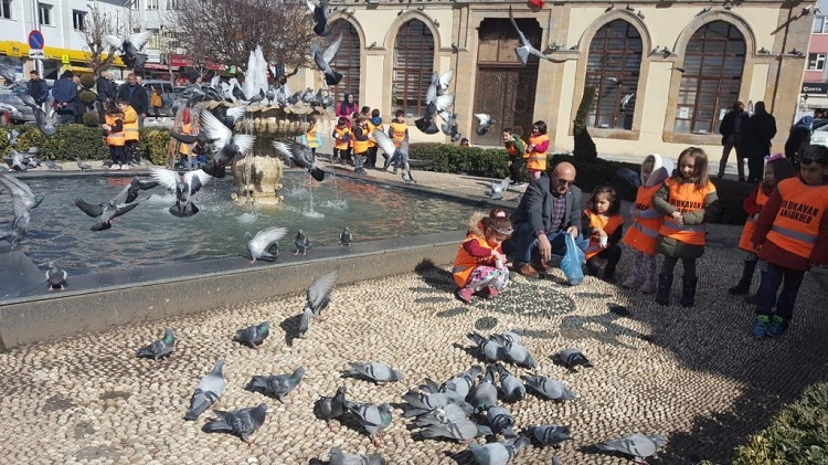 MİNİKLER SOKAK HAYVANLARINI BESLEDİ