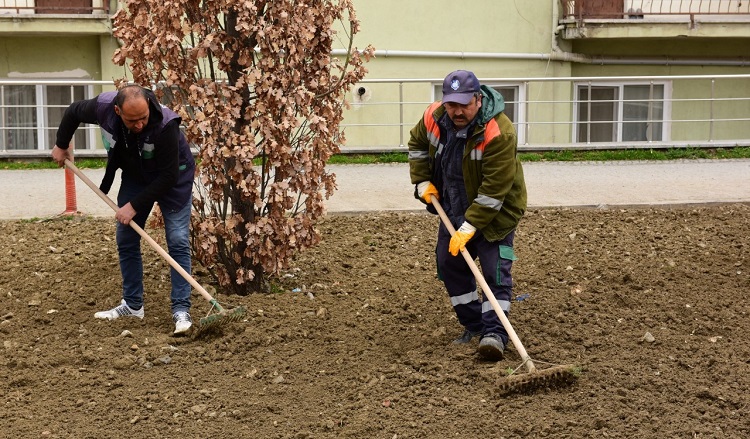 PARKLARDA ÇİMLEME ÇALIŞMASI YAPILDI