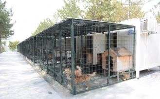 HAYVAN BAKIM EVİNİN ÇATILARI ONARILDI
