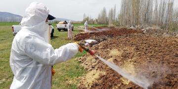 ÇORUM’DA SİNEKLERE GEÇİT YOK!