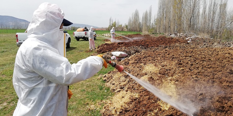 ÇORUM’DA SİNEKLERE GEÇİT YOK!