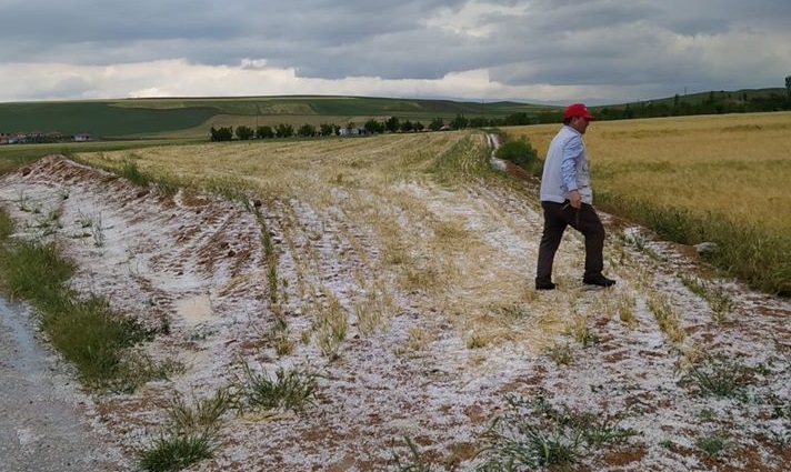 ÇORUM’DA ARAZİLERİ DOLU VURDU