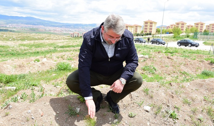 BAŞKAN GUİNNESS ORMANINI İNCELEDİ