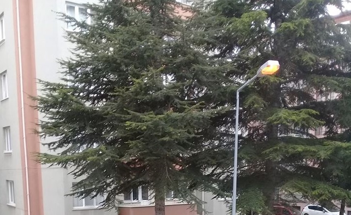 YANAN SOKAK LAMBALARINA AÇIKLAMA