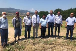 ÇELTİK ÜRETİCİLERİ ZOR DURUMDA