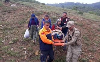 YAŞLI KADIN ORMANDA BULUNDU