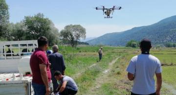 TARLALAR DRONE İLE İLAÇLANIYOR