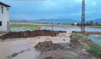 YAĞIŞ ÇELTİK TARLALARINI VURDU