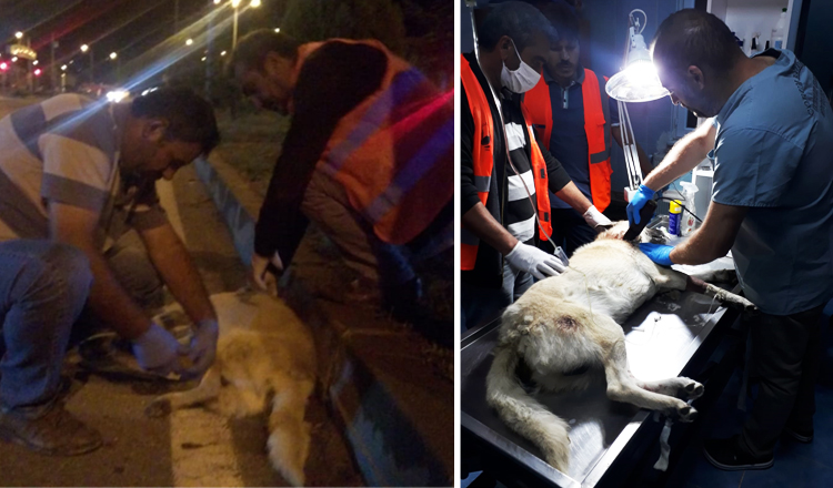 SUNGURLU BELEDİYESİ TAKDİR TOPLADI