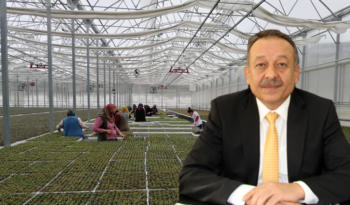 TIBBİ VE AROMATİK BİTKİ ÜRETİLİYOR