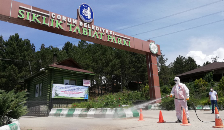 KENEYE KARŞI ETKİN MÜCADELE VERİLİYOR