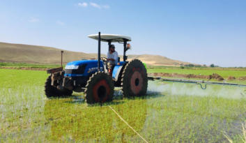 ÇELTİK ÜRETİCİSİNİN ZORLU MESAİSİ