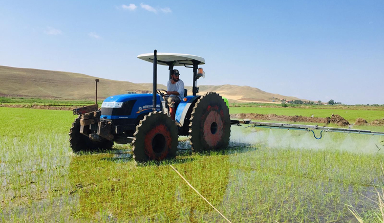 ÇELTİK ÜRETİCİSİNİN ZORLU MESAİSİ