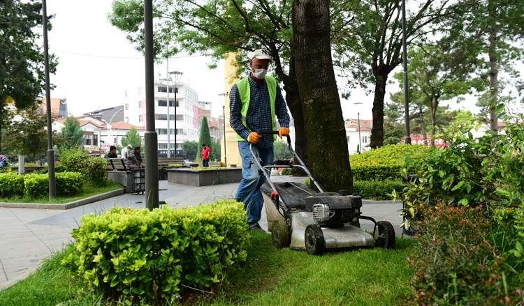 ÇİMLER BİÇİLMEYE DEVAM EDİYOR