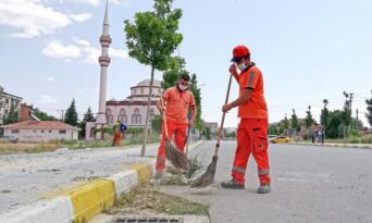 YABANİ OTLARIN TEMİZLİĞİ YAPILACAK