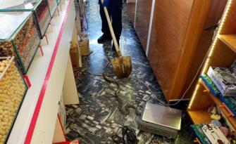 İKİ METRELİK YILAN KORKU YARATTI