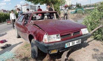 DEREYE UÇMAKTAN AĞAÇ KURTARDI