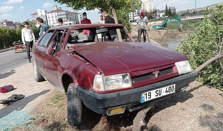 DEREYE UÇMAKTAN AĞAÇ KURTARDI