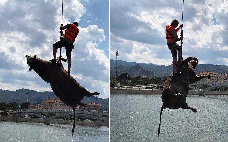 ÇORUM’DA IRMAKTAN ÇIKAN ŞAŞIRTTI