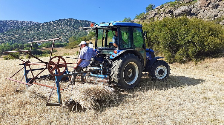 SICAK BUĞDAY HASADINI ETKİLEDİ