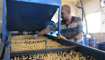 ÇORUM LEBLEBİSİNE SAHİP ÇIKTILAR!