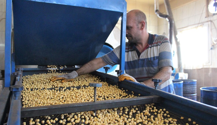 ÇORUM LEBLEBİSİNE SAHİP ÇIKTILAR!