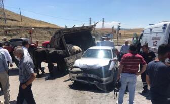 HAYVAN TAŞIYAN TRAKTÖRE ÇARPTI