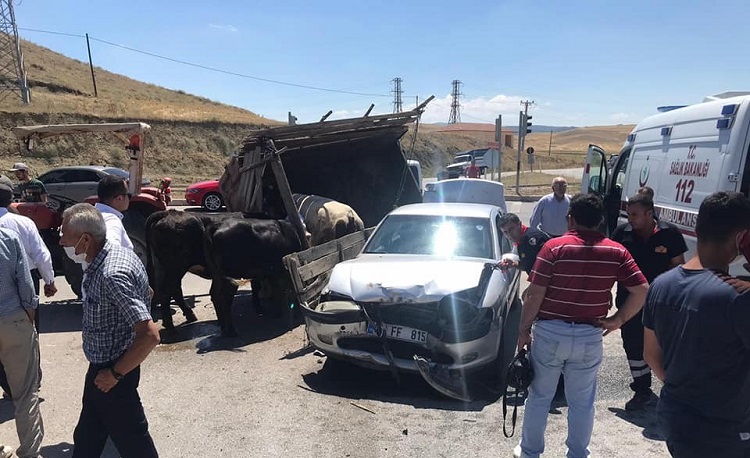 HAYVAN TAŞIYAN TRAKTÖRE ÇARPTI