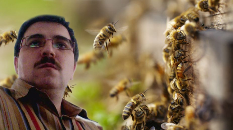 ÇORUM’DA ARILAR BİR CAN ALDI!