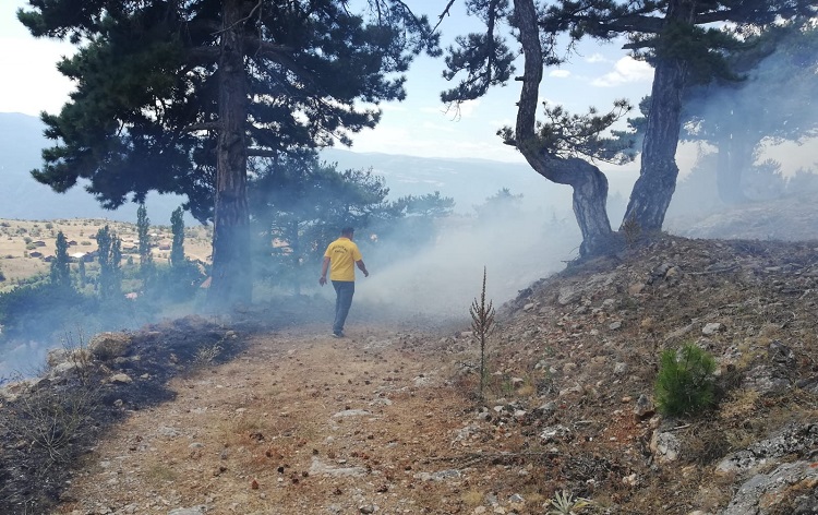 KARGI’DA 2 HEKTAR ORMAN ALANI YANDI