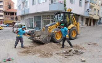 DAHA TEMİZ BİR SUNGURLU İÇİN