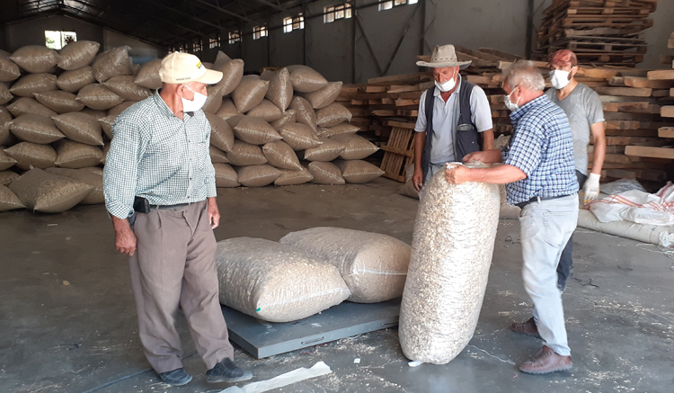 HAŞHAŞ KABUĞU ALIMINA BAŞLANDI
