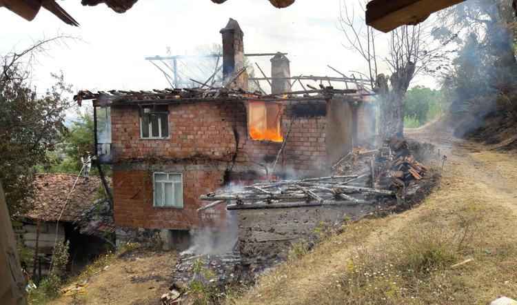 ORMANA SIÇRAYAN YANGIN KORKUTTU!