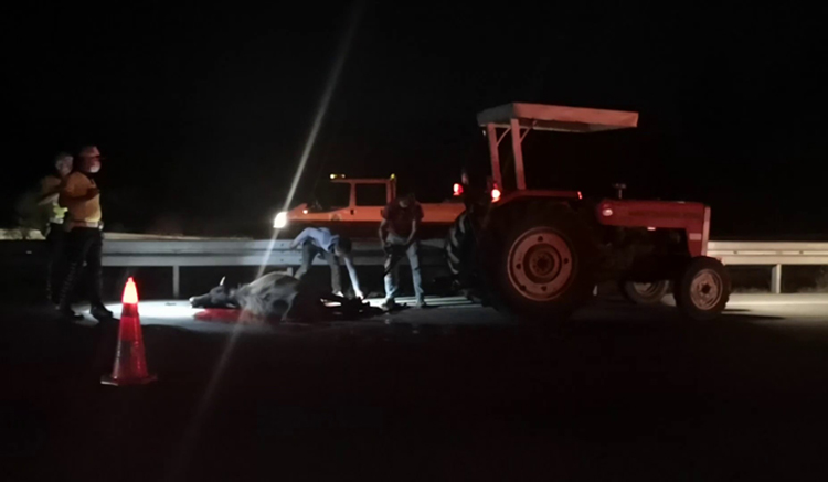 KAZADA 2 HAYVAN TELEF OLDU