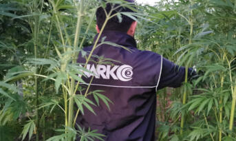 ÇORUM POLİSİNE YAKALANDILAR!