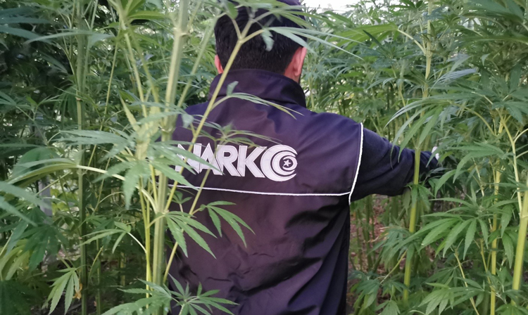 ÇORUM POLİSİNE YAKALANDILAR!