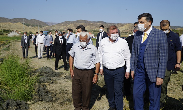 ÇELTİK HASAT BAYRAMI DÜZENLENDİ