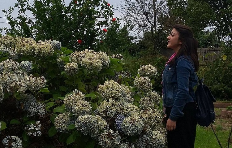 MENEKŞE YAŞAM SAVAŞINI KAYBETTİ