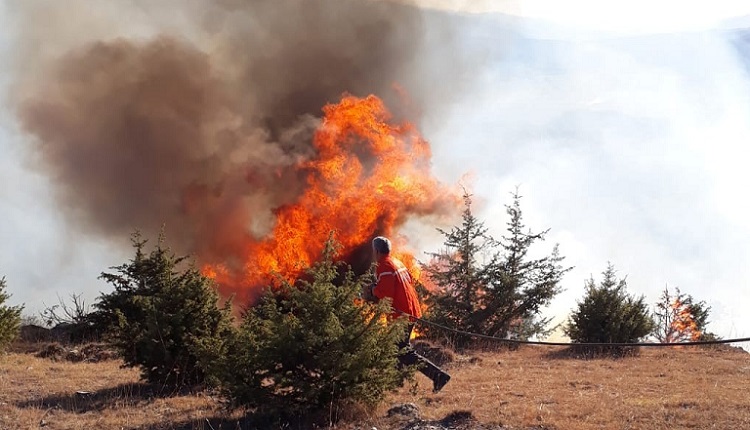 Çorum’da korkutan orman yangını!