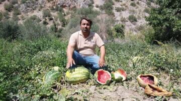 ÇORUMLU KÖYLÜYÜ ŞAŞIRTAN MANZARA!