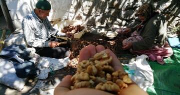 TESCİLLİ LEZZET BİRİNCİ OLDU