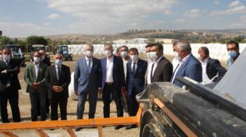 ÇORUM’A DÜVE MERKEZİ KURULACAK
