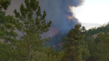 ÇORUM’DA ORMAN YANGINI ÇIKTI!